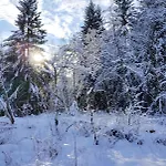Apartman Waldfee *