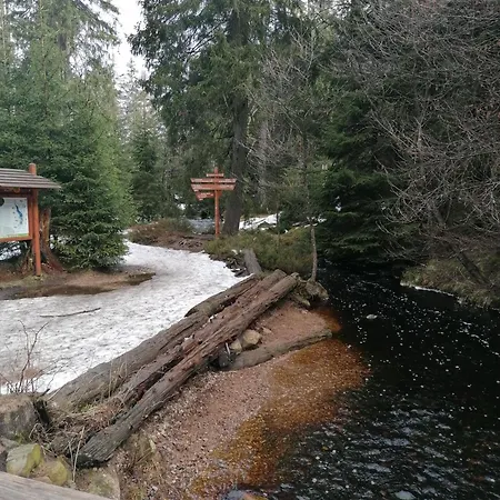 Waldfee Altenau (Lower-Saxony)