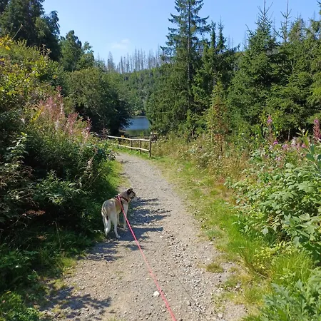 شقة Waldfee *