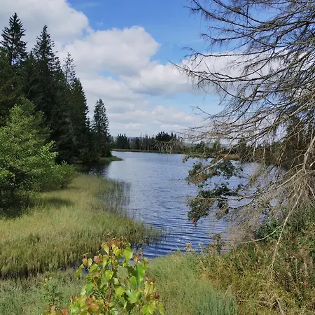 Waldfee شقة ألتيناو