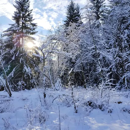 شقة Waldfee *